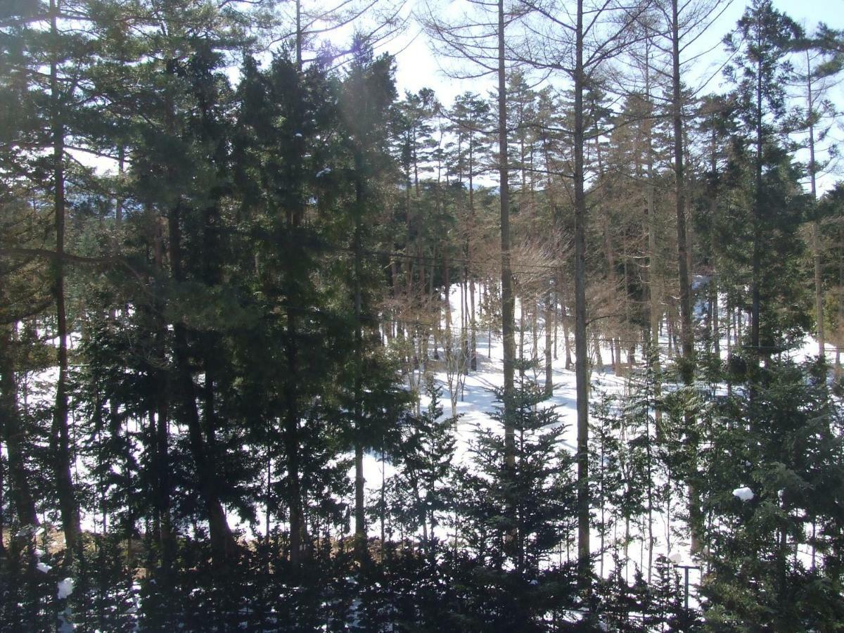 Sundance Resort Kawaguchiko Fujikawaguchiko Esterno foto